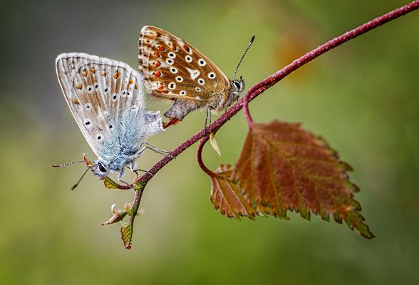 let's talk about sex 