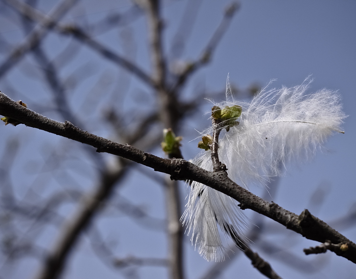 Let's talk about spring, baby!