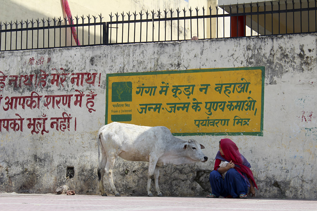 ... Let's talk, Rishikesh, India ...