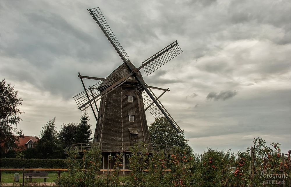 Letter Windmühle