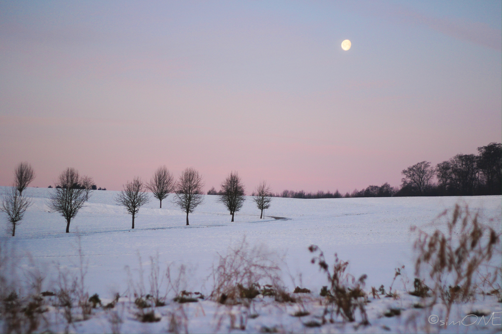 Let.the.moon.shine.bright.