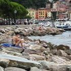 lettura sugli scogli di LERICI...