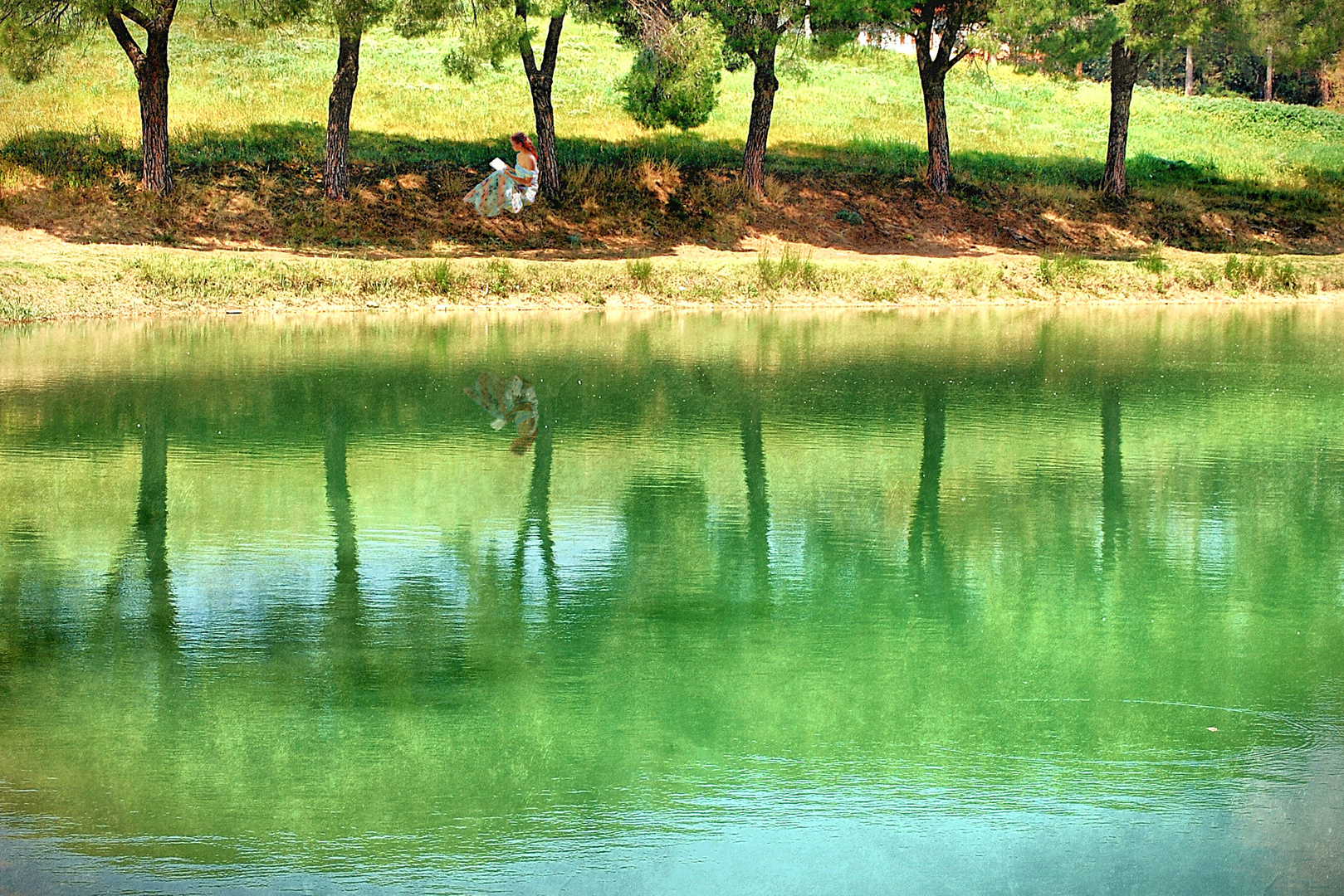 Letture in riva al lago