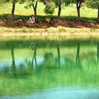 Letture in riva al lago