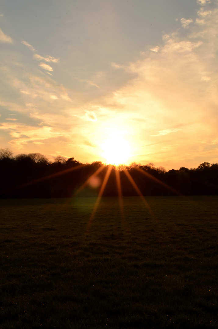 Letze Sonnenstrahlen...