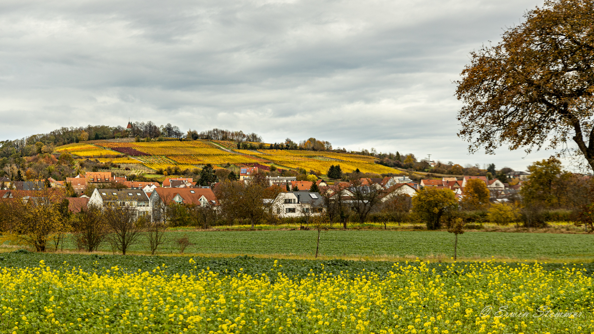 Letzenberg bei Malsch