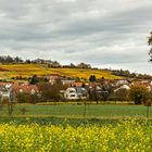 Letzenberg bei Malsch