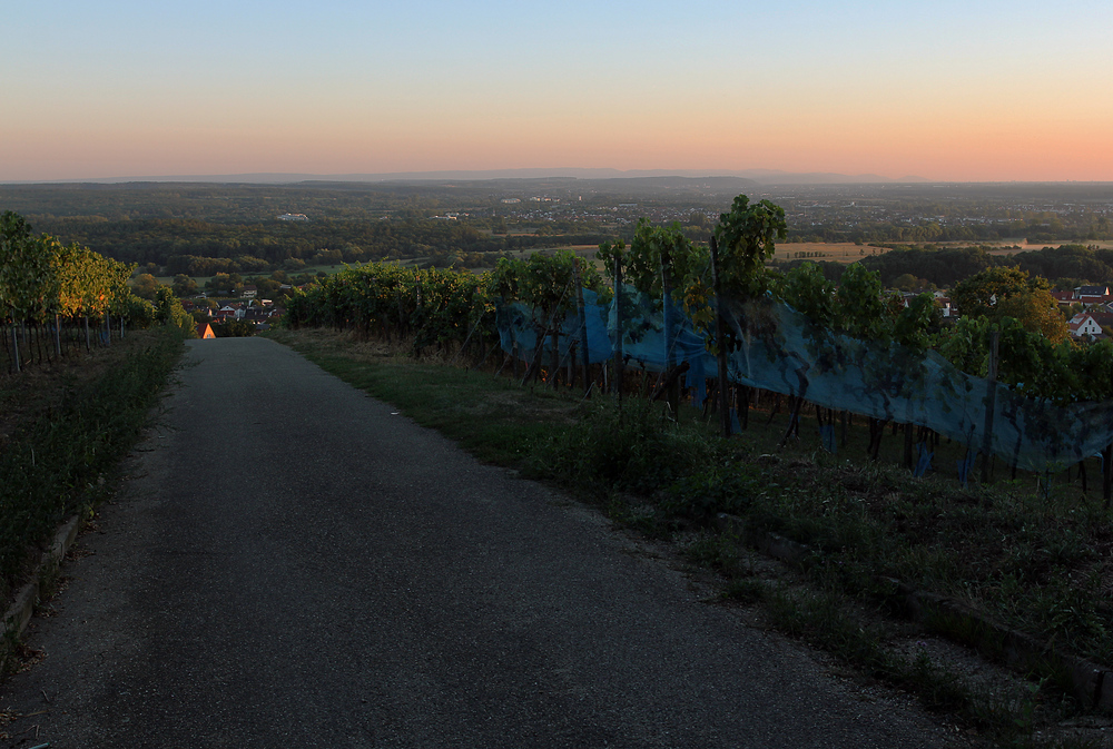 Letzenberger Abendstimmung 2