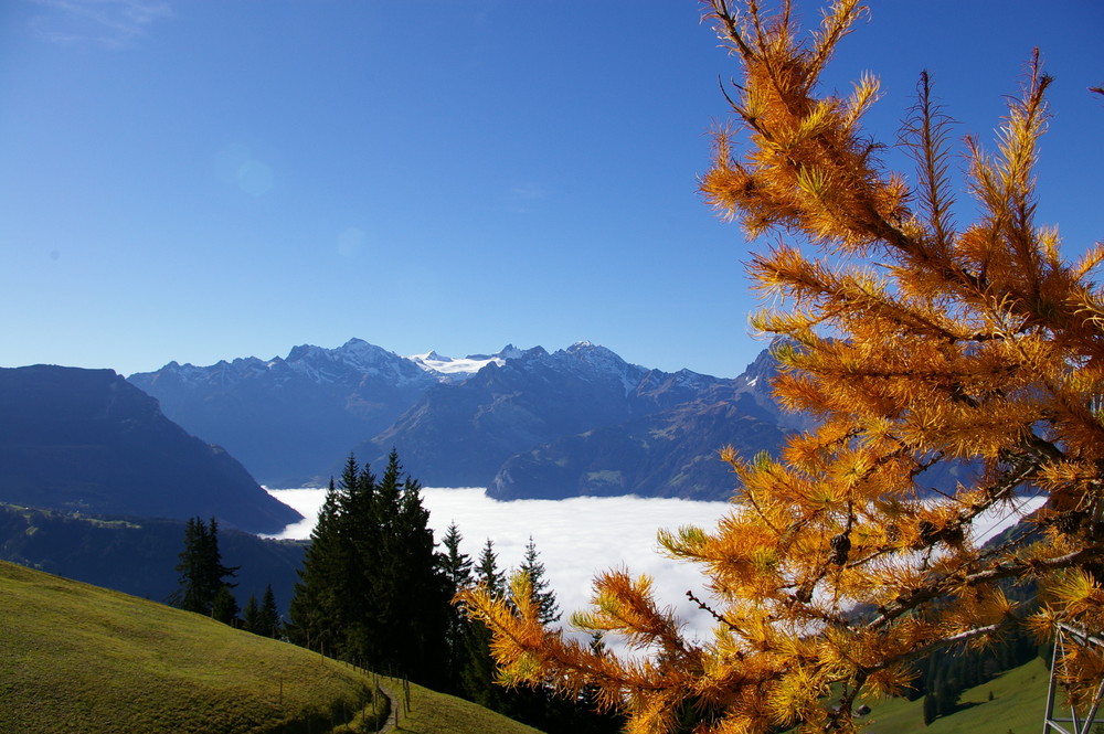 Letzer Herbsttag in den Schweizer Alpen