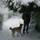 User Profile Photo