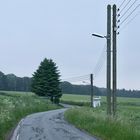 Letztabendliche Mikrourlaubsländlichkeit im Südruhrgebietisch-Nordbergisch-Elfringhausischen.