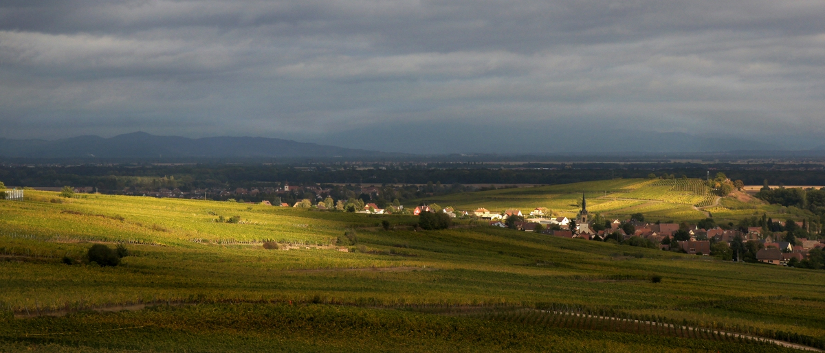 letzte Abendsonnenstrahlen