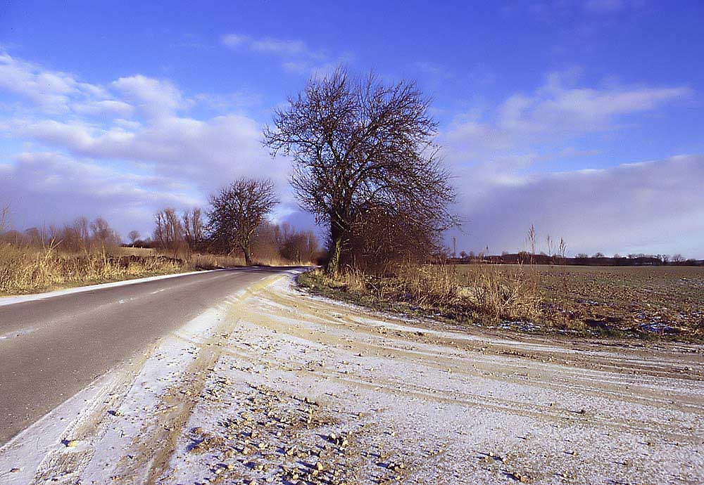 Letzte Äpfel - erster Schnee