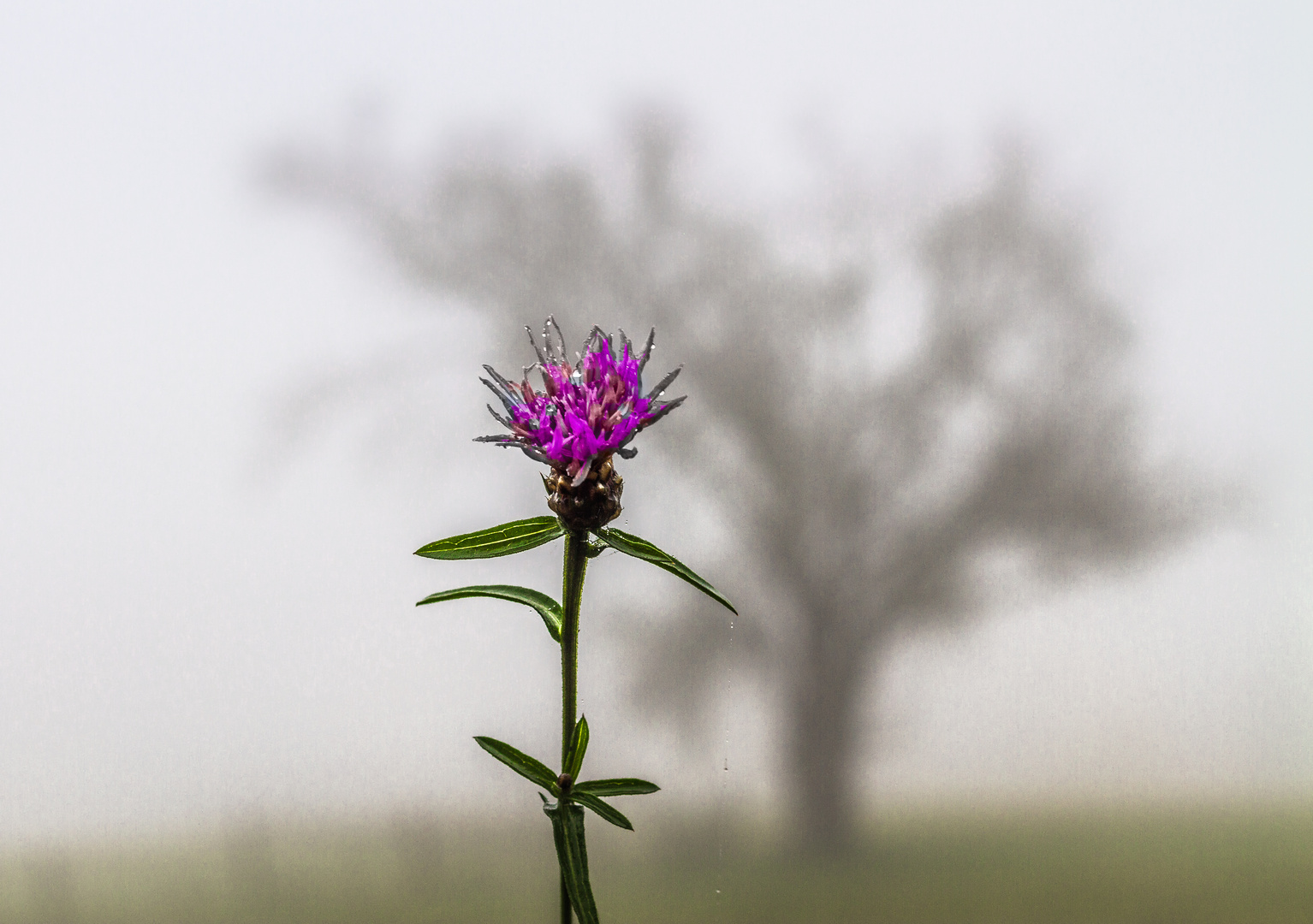 Letzte Anstrengung vor dem Winter