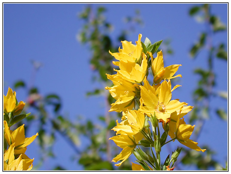 Letzte Bilder vom Sommer 2004 (2)