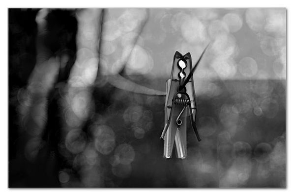  ... letzte Erinnerung ...