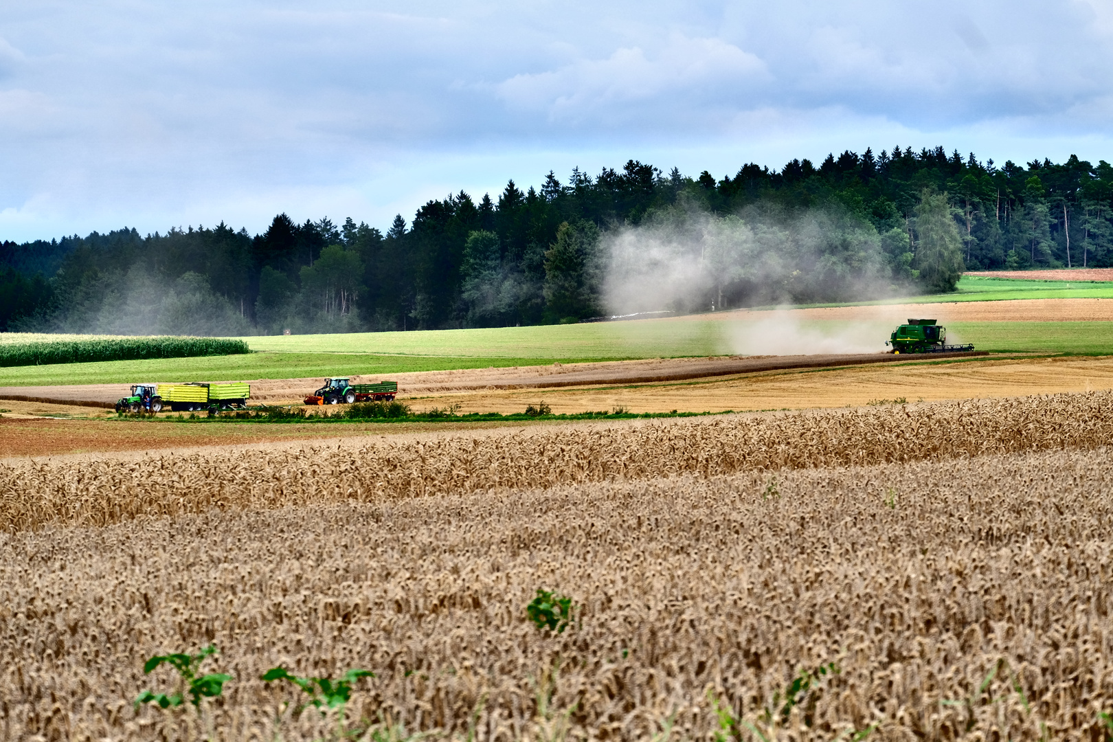 letzte Ernte