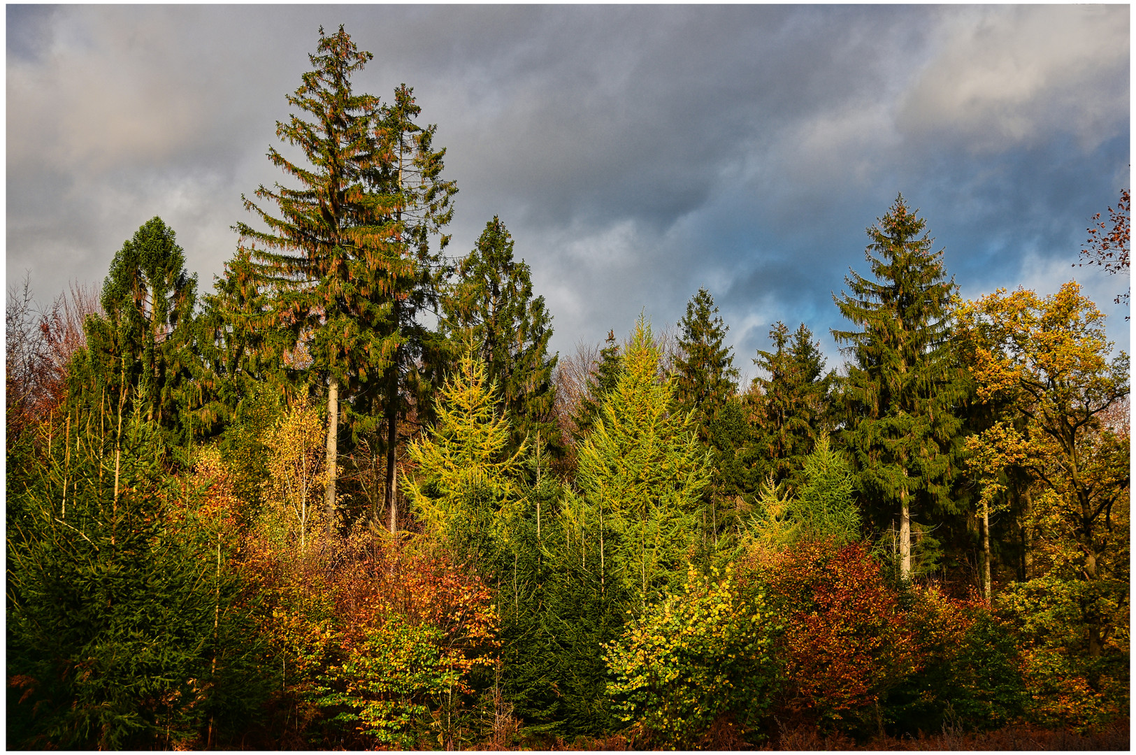 Letzte Farben