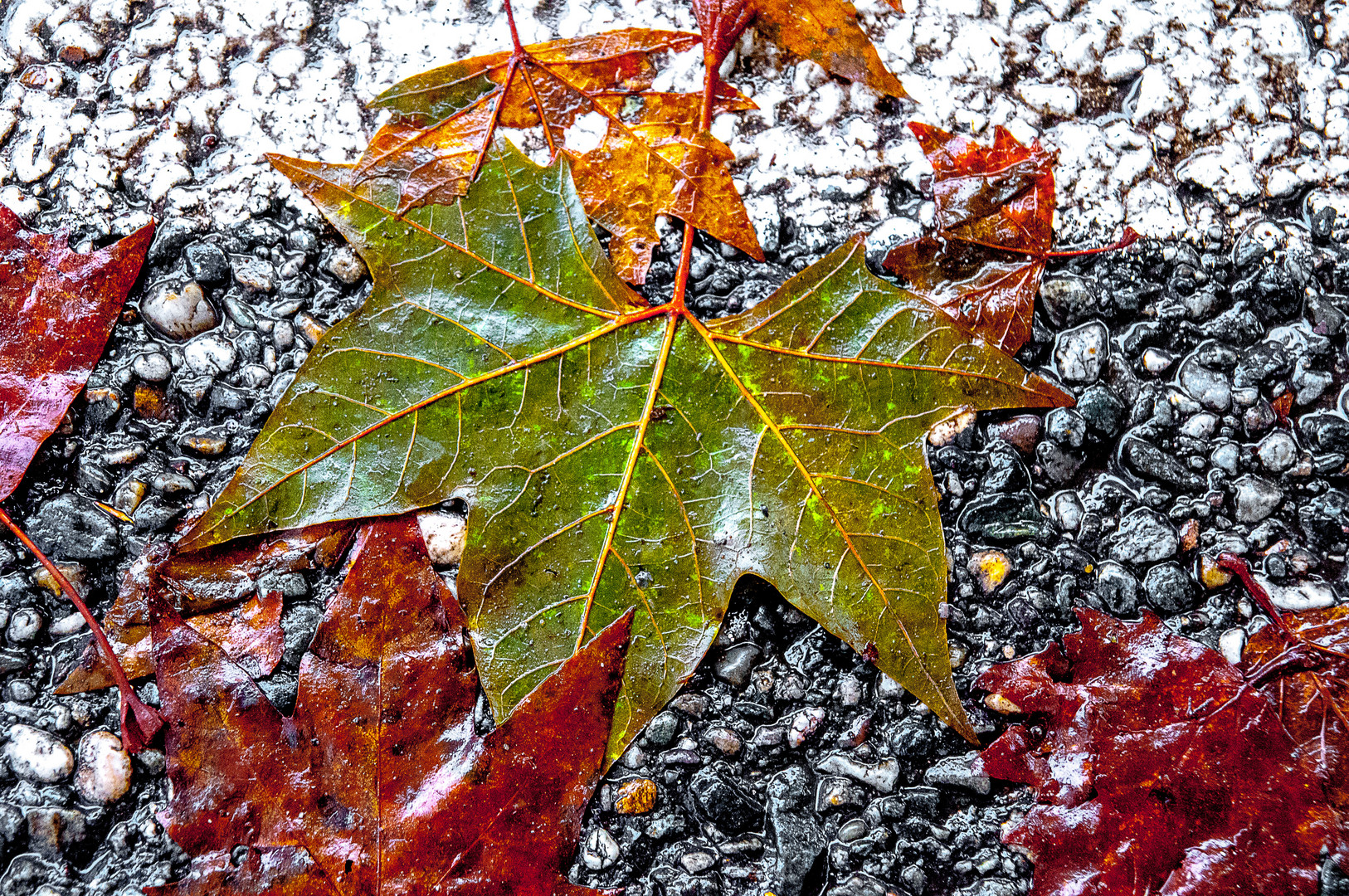 Letzte Farben