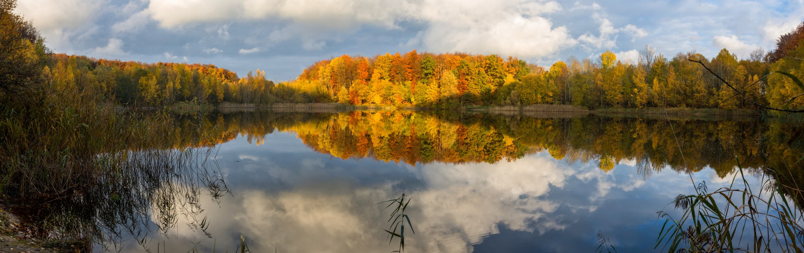 letzte Farben des Herbstes