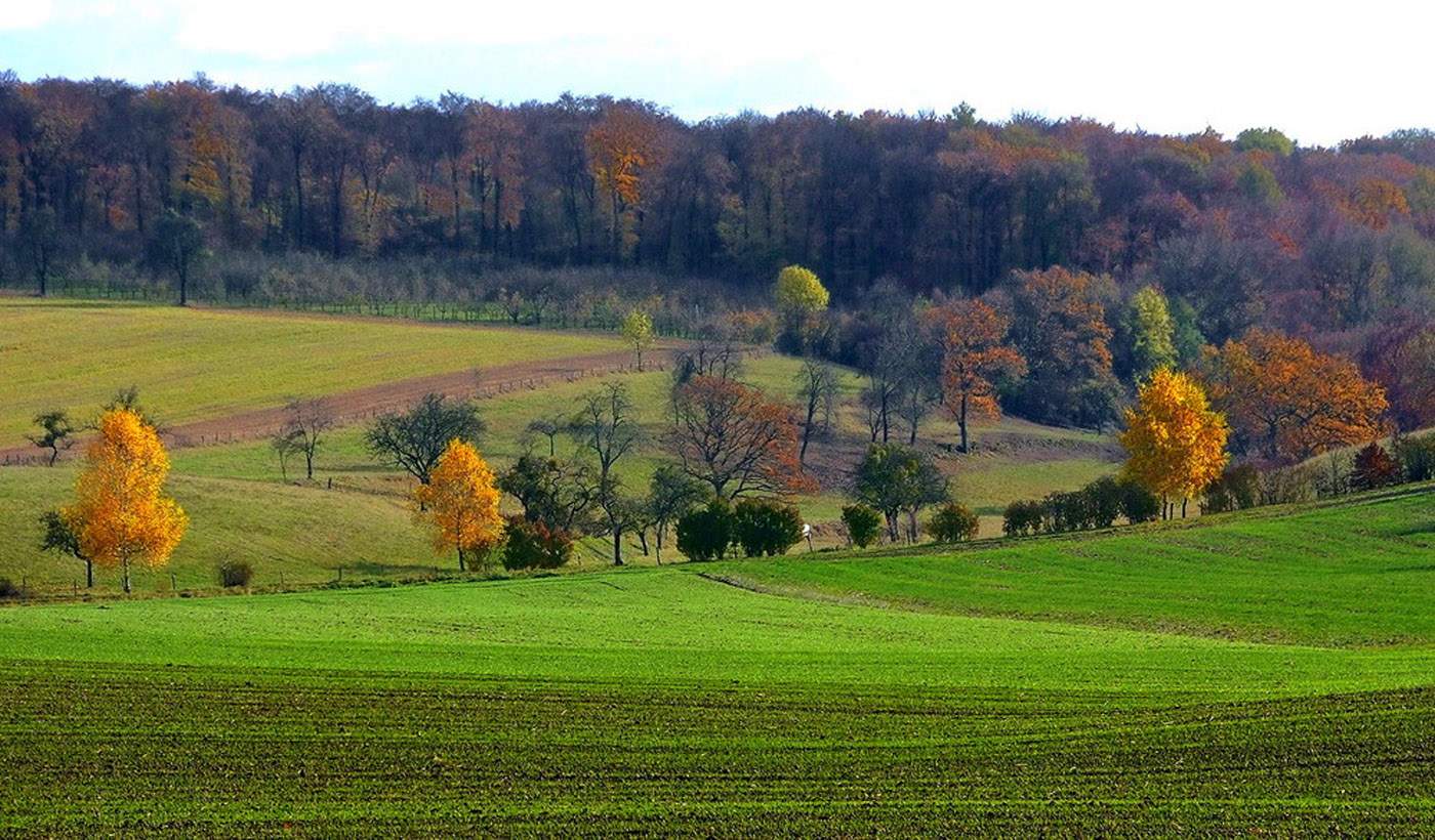 Letzte Farben ...