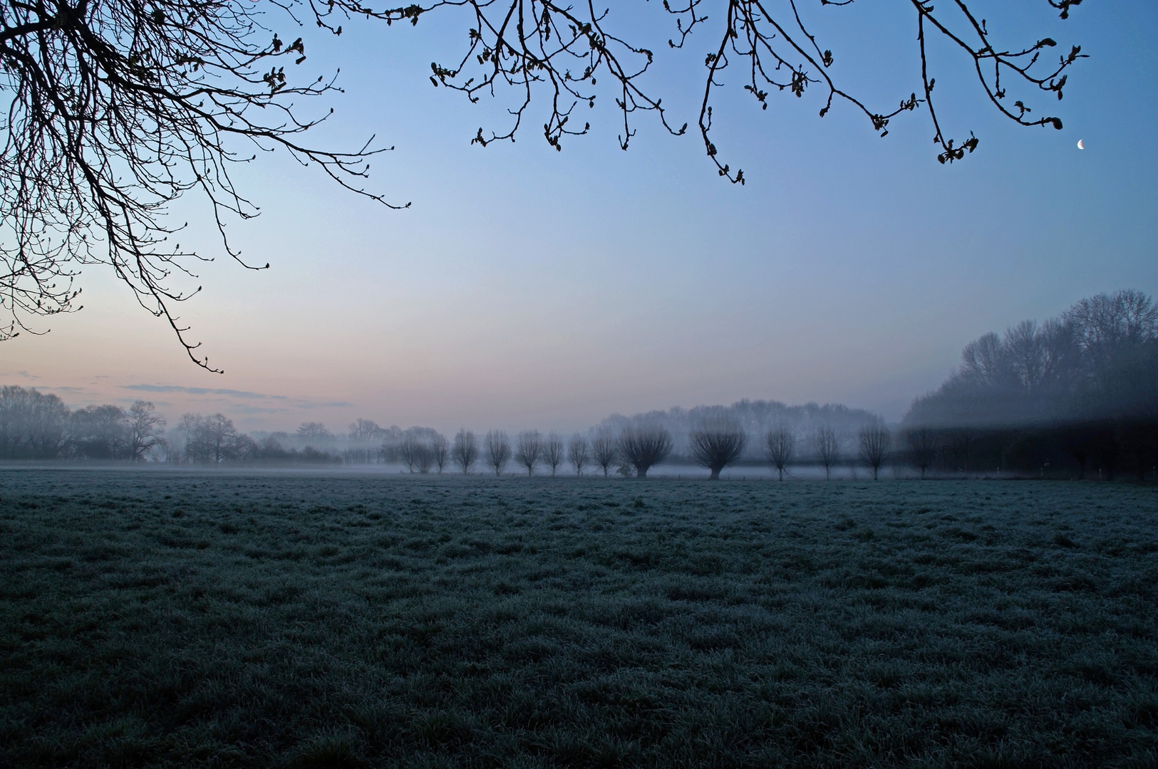 Letzte Frostnächte am Niederrhein...