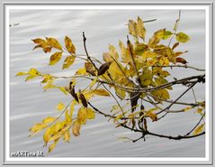 Letzte Gelegenheit (mit Gedicht)