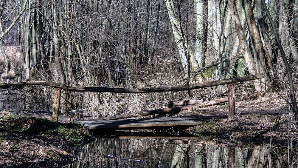 LETZTE GELEGENHEIT VOR DEM ENDE - KRUMME LAKE #14