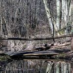 LETZTE GELEGENHEIT VOR DEM ENDE - KRUMME LAKE #14