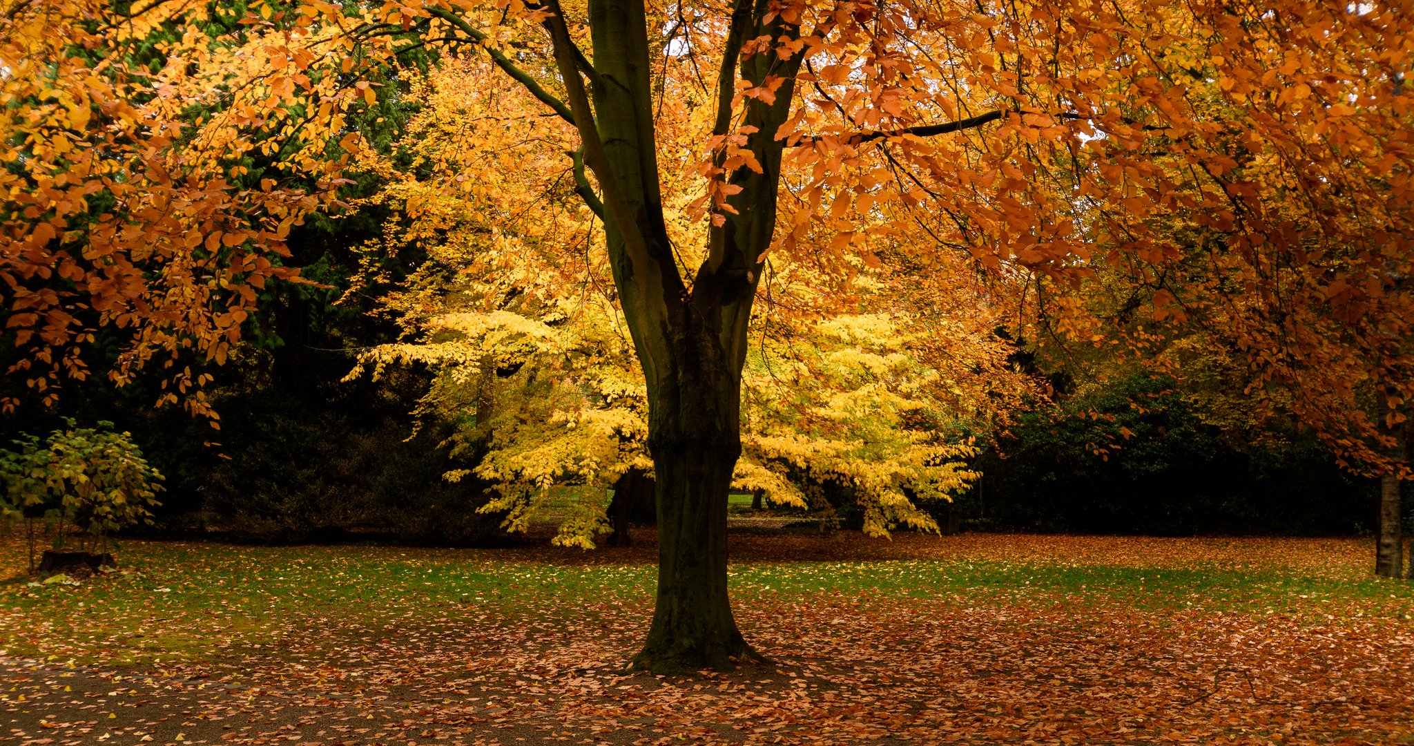 Letzte-Herbst-Gefühle