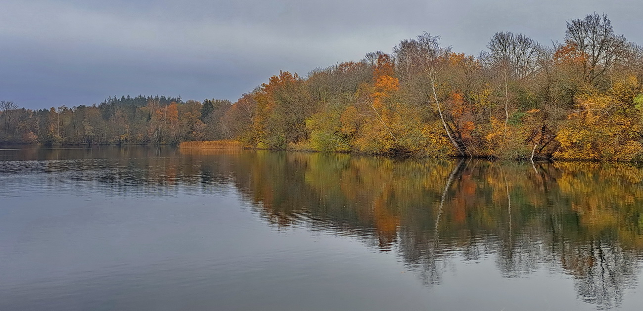 Letzte Herbstblätter