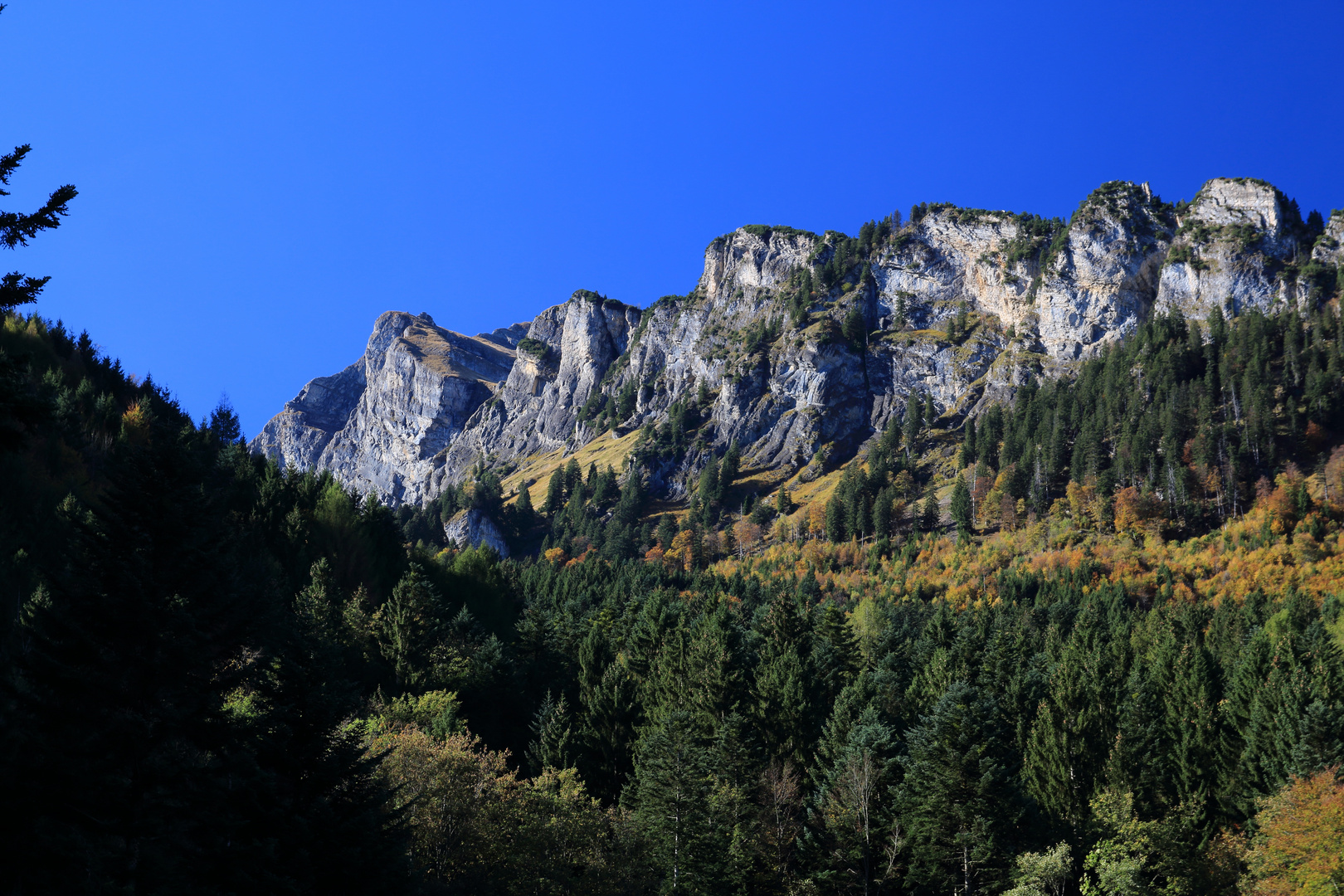 Letzte Herbstboten vor dem grossen Schnee