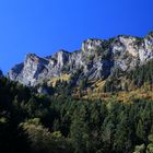 Letzte Herbstboten vor dem grossen Schnee