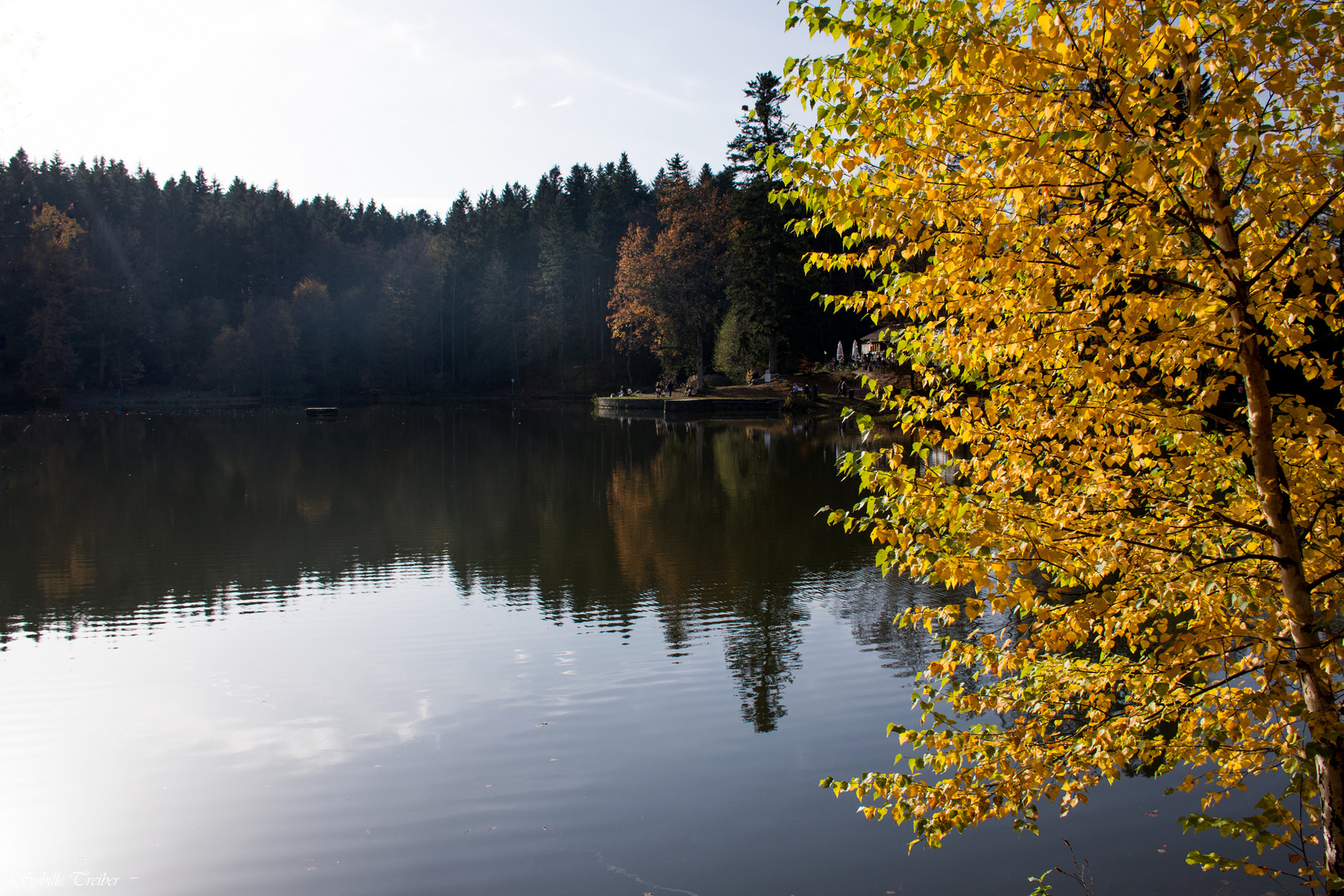 Letzte Herbstfarben