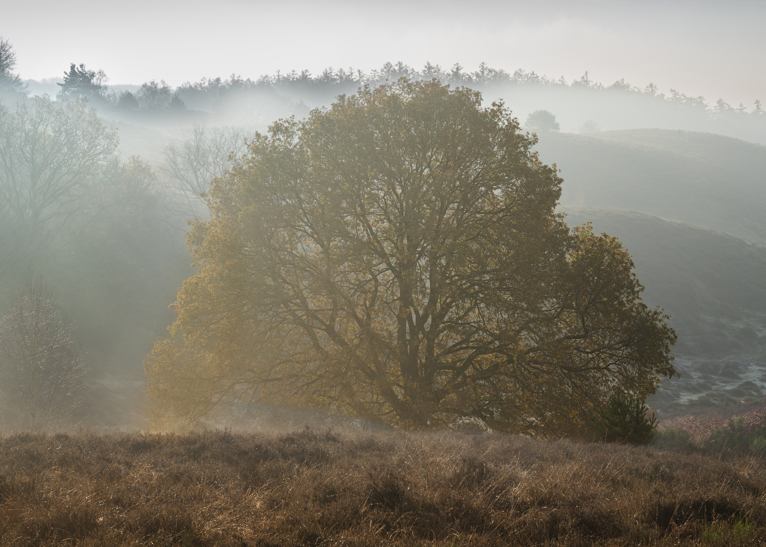 Letzte Herbstfarben