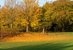 Letzte Herbstfarben 2