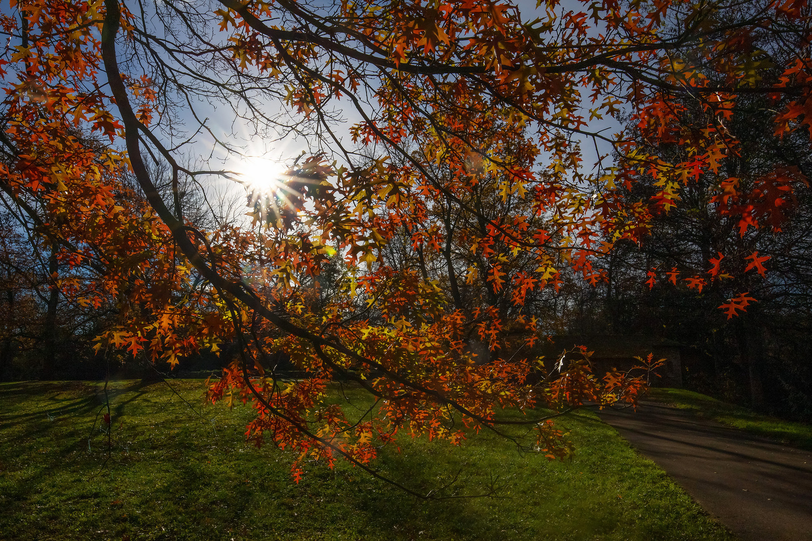 Letzte Herbstfarben