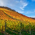 Letzte Herbstfarben im Ahrtal