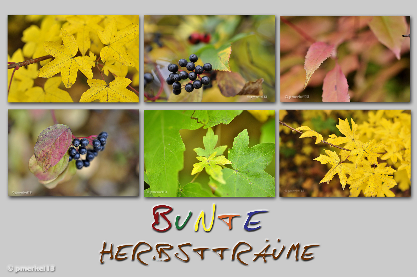 Letzte Herbstgrüße 7