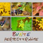 Letzte Herbstgrüße 7