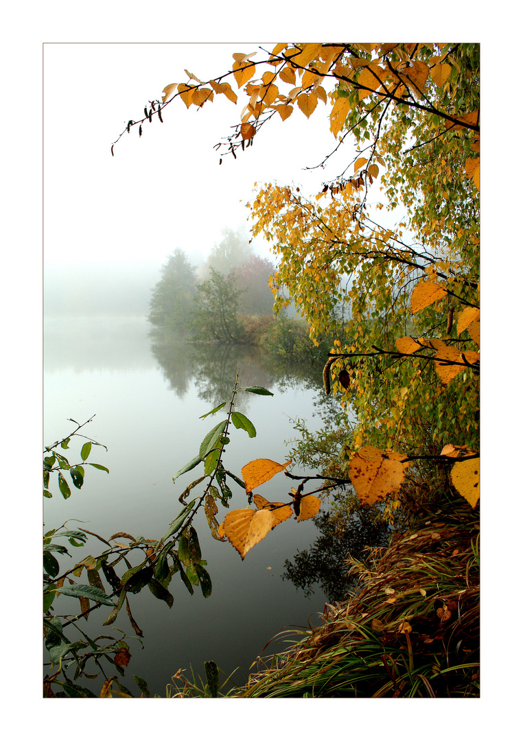 Letzte Herbstgrüße .pg