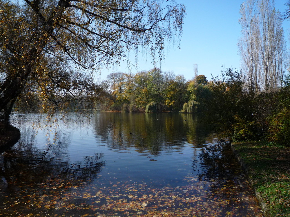 letzte Herbstidylle am Kleinhesseloher See