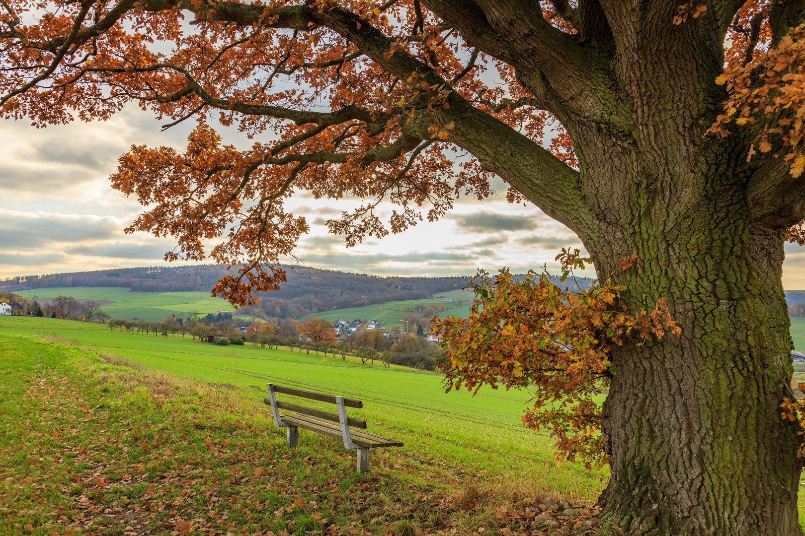 Letzte Herbstimpression