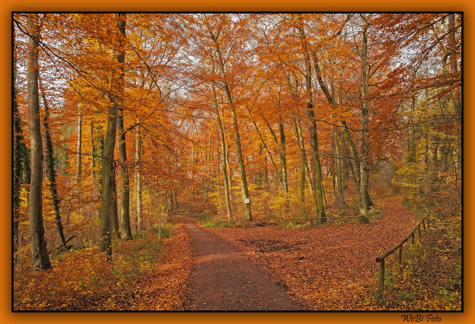 Letzte Herbstimpressionen