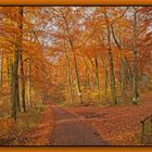 Letzte Herbstimpressionen