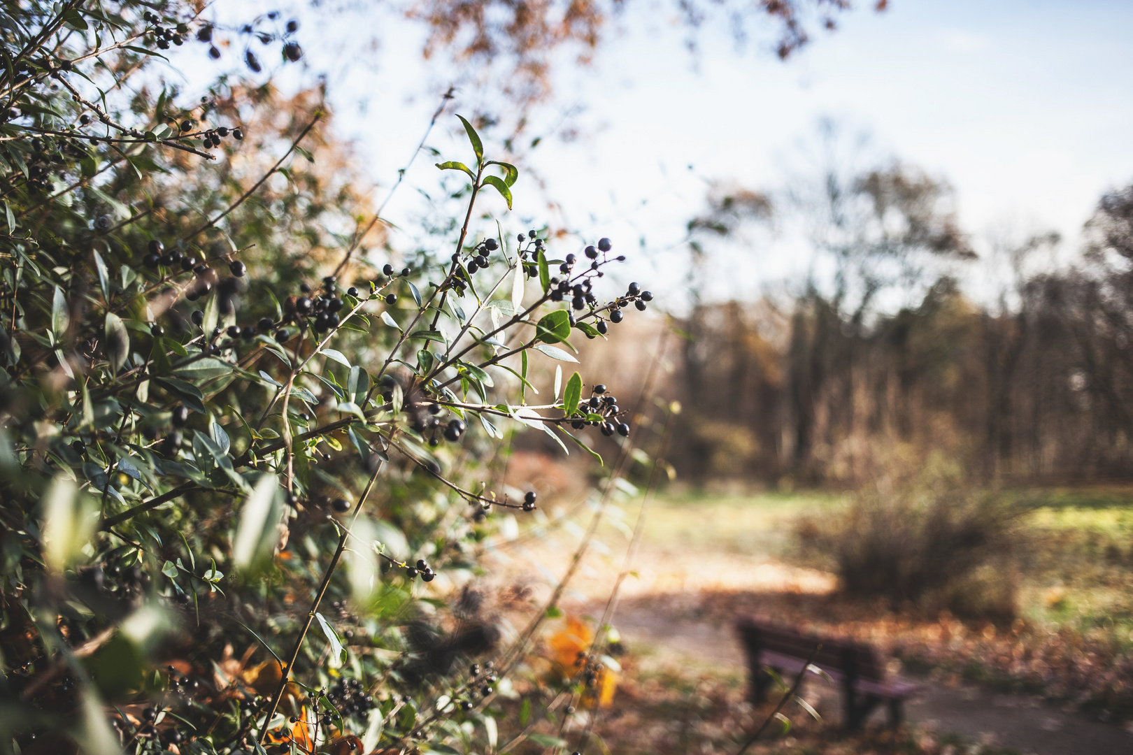 Letzte Herbstmomente.