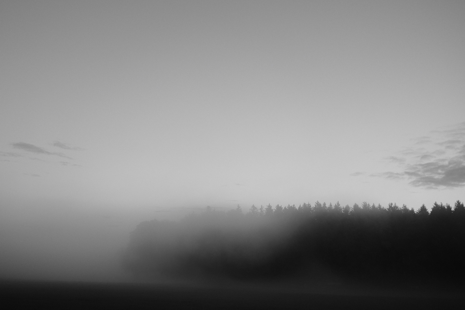 Letzte Herbstnebel