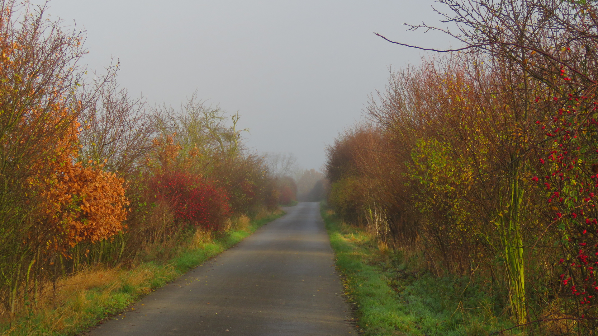 Letzte Herbstspuren...