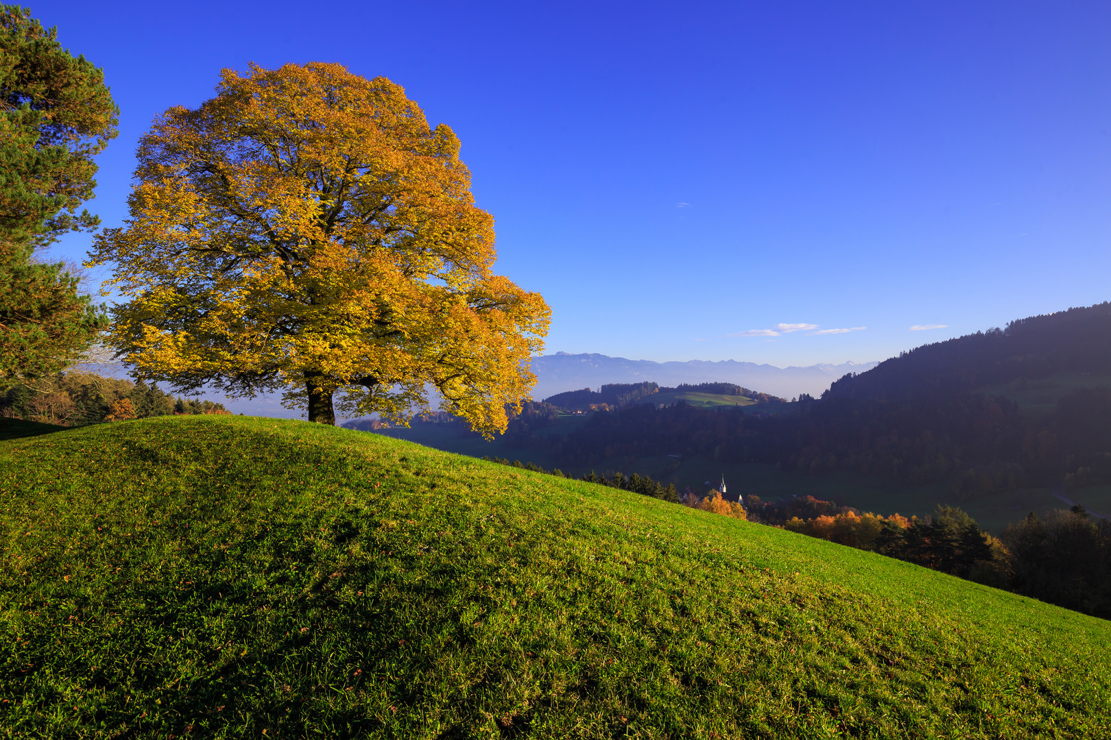 Letzte Herbststimmung Blick richtung Rheintal