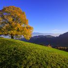 Letzte Herbststimmung Blick richtung Rheintal